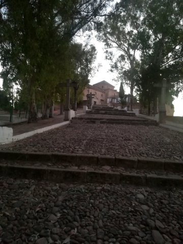 Calza (9)
